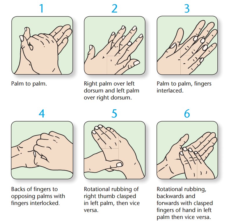 Handwashing Technique